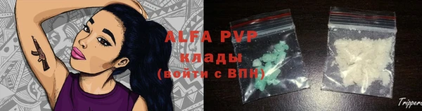 индика Алексеевка