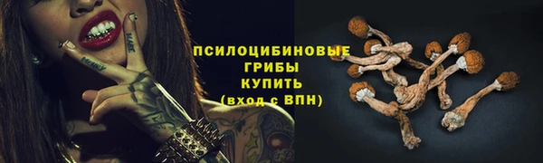 дурь Алзамай