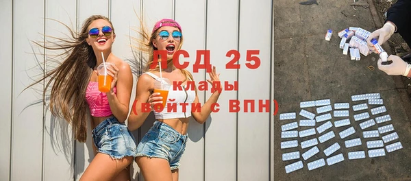 молекула духа Болхов