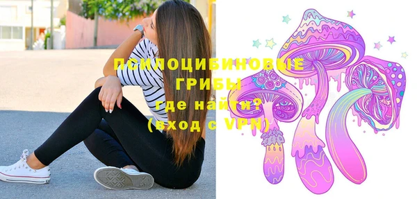 индика Алексеевка