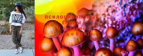 дурь Алзамай
