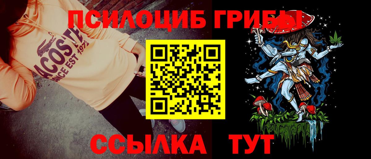 Десногорск  Псилоцибиновые грибы прущие грибы  Псилоцибиновые грибы мицелий  Вход с VPN 
